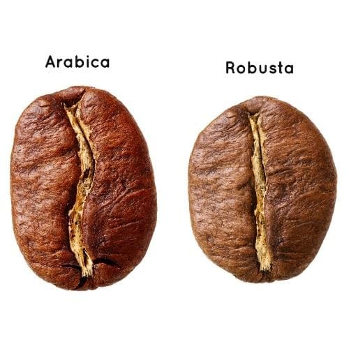 Strongest Coffee Beans? +6 Crazy Strong Coffee Brands